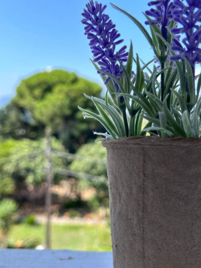 Olia Apartment Corfu  Eksteriør bilde